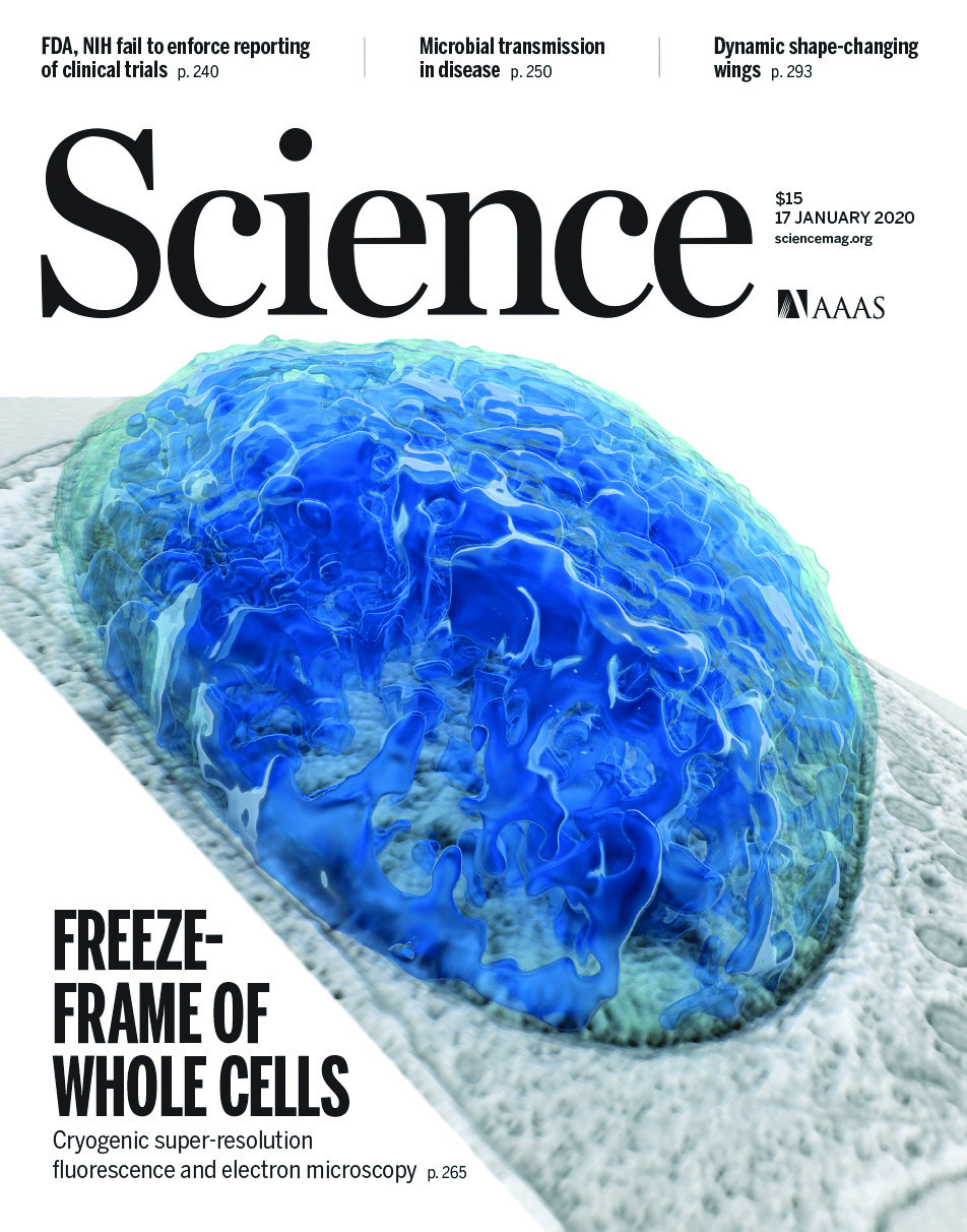 science.2020.367.issue-6475.largecover