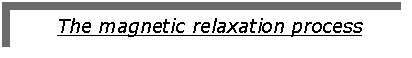 Text Box: The magnetic relaxation process